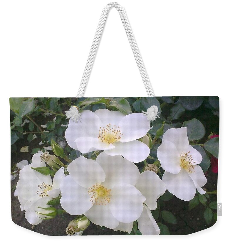 White Roses Weekender Tote Bag featuring the painting White Roses Bloom by Georgeta Blanaru