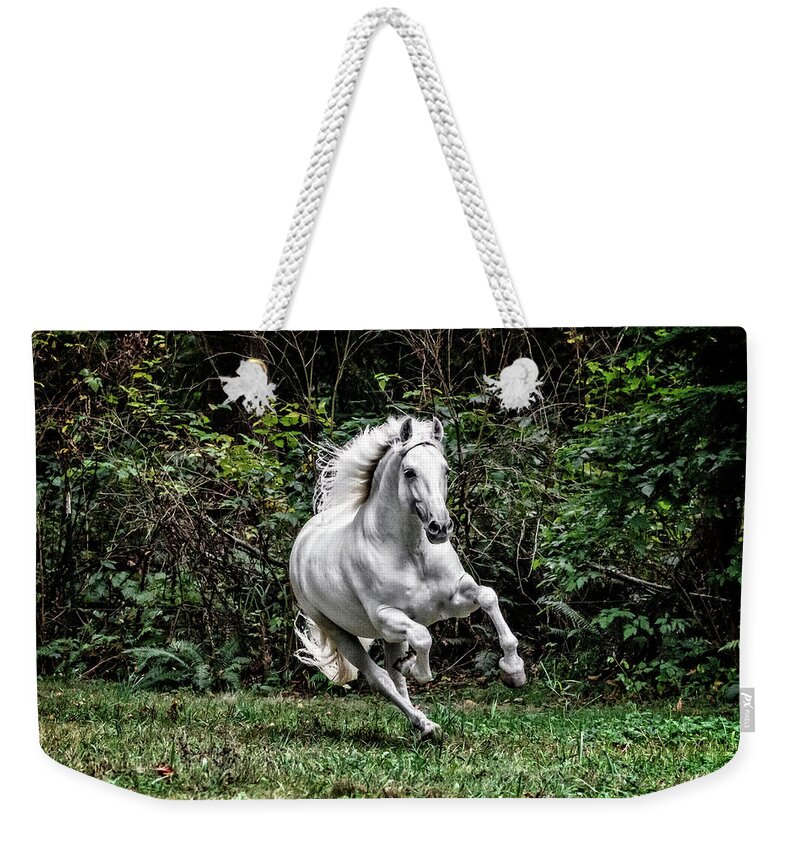 White Stallion Weekender Tote Bag featuring the photograph White Stallion by Wes and Dotty Weber