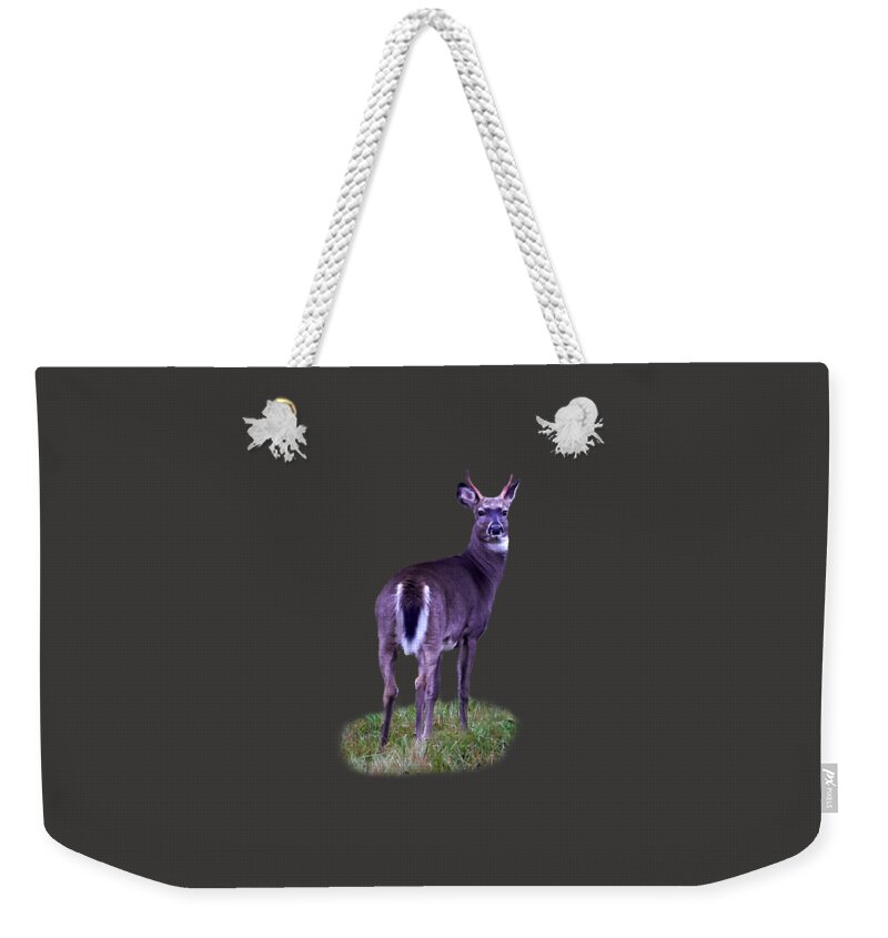 Finland Weekender Tote Bag featuring the photograph White tail transparent by Jouko Lehto