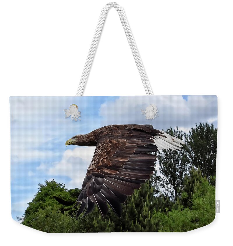 Sea Eagle Weekender Tote Bag featuring the photograph White Tailed Eagle by Kuni Photography