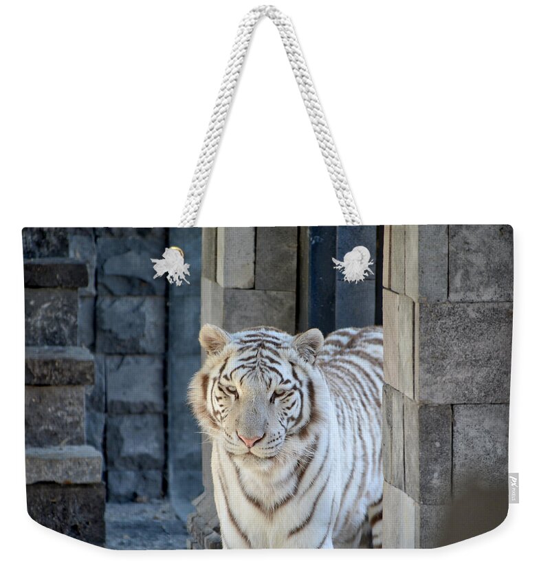 Wildlife Weekender Tote Bag featuring the photograph White Tiger by Ingrid Dendievel