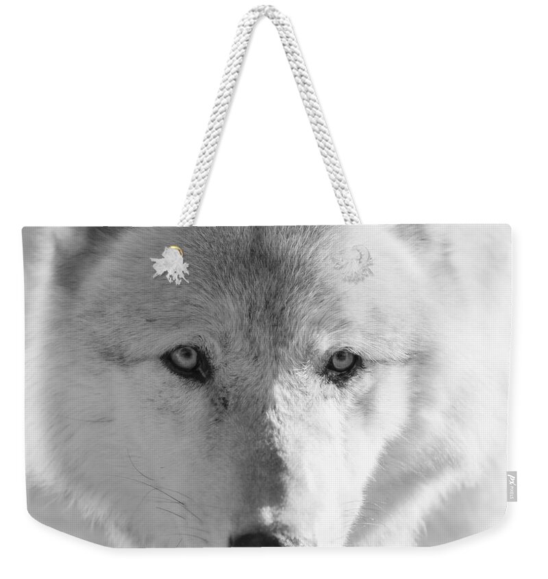 Wolf Weekender Tote Bag featuring the photograph White Wolf by Ana V Ramirez