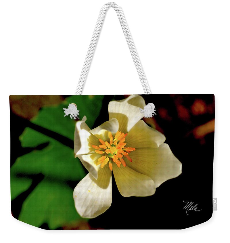 Macro Photography Weekender Tote Bag featuring the photograph Bloodroot White Flower by Meta Gatschenberger