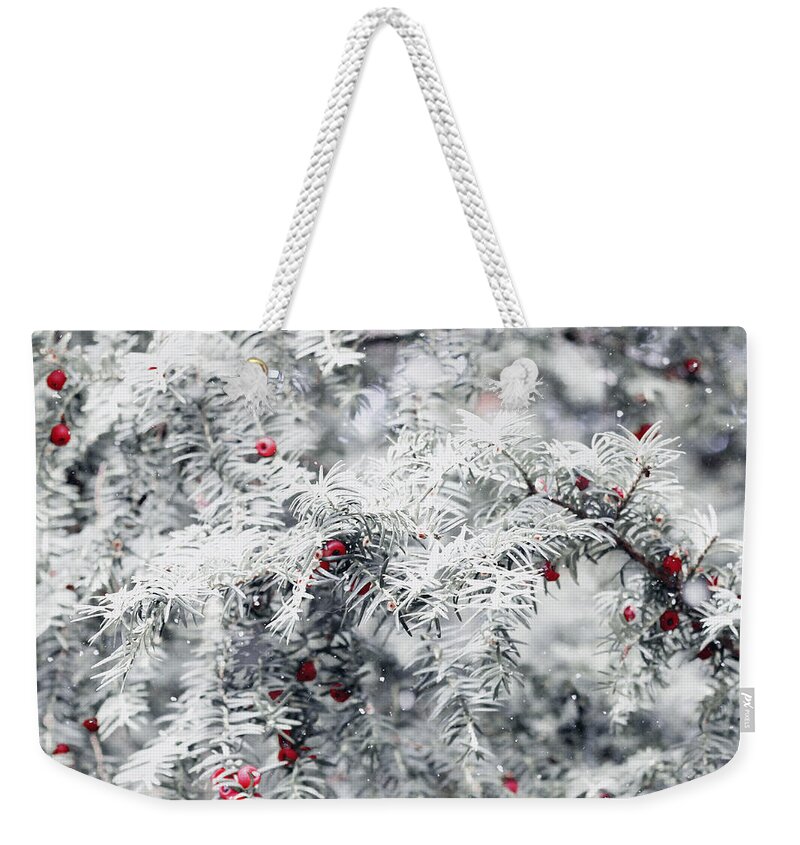 Nature Weekender Tote Bag featuring the photograph White yew by Helga Novelli
