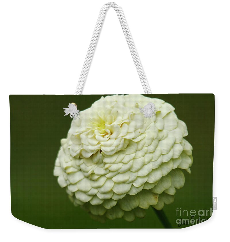 Flower Weekender Tote Bag featuring the photograph White Flower Zinnia Wall Art Decor Print by Carol F Austin