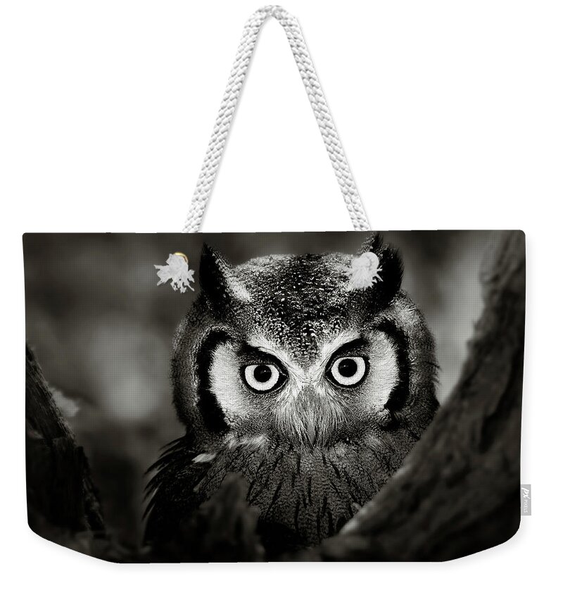 Africa Weekender Tote Bag featuring the photograph Whitefaced Owl by Johan Swanepoel