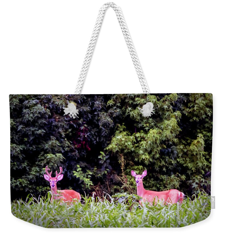 2d Weekender Tote Bag featuring the photograph Whitetail Buck and Doe by Brian Wallace