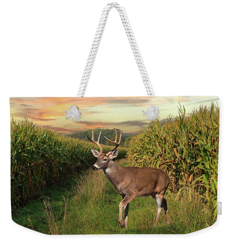 Deer Weekender Tote Bag featuring the digital art White-tailed Buck in Cornfield by M Spadecaller