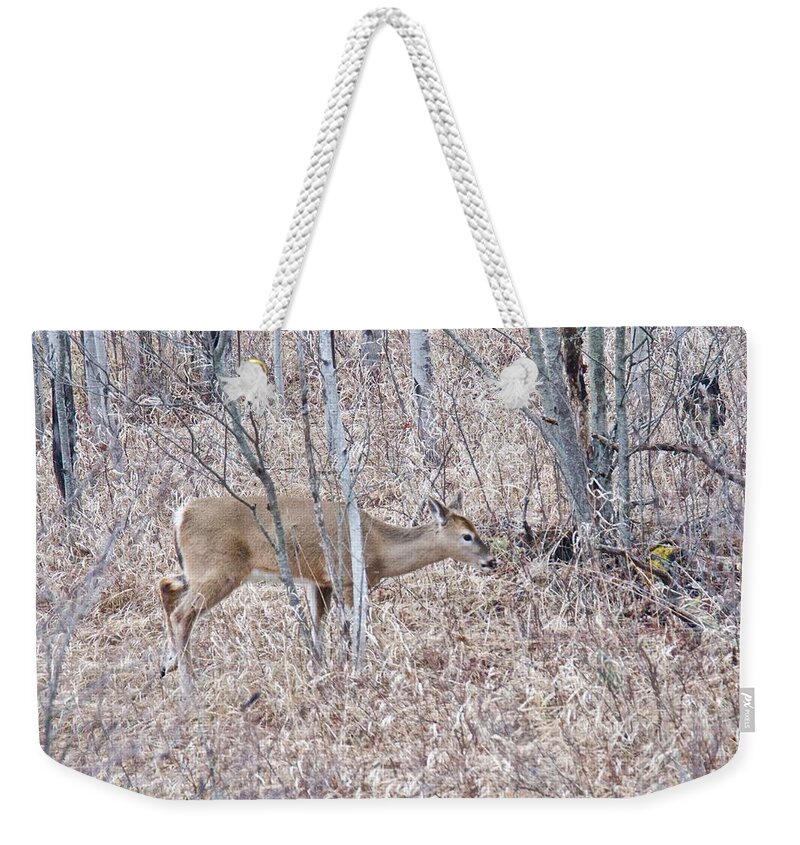 Deer Weekender Tote Bag featuring the photograph Whitetail Deer 1171 by Michael Peychich