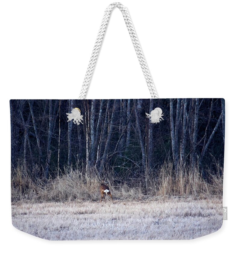 Finland Weekender Tote Bag featuring the photograph Whitetail by Jouko Lehto