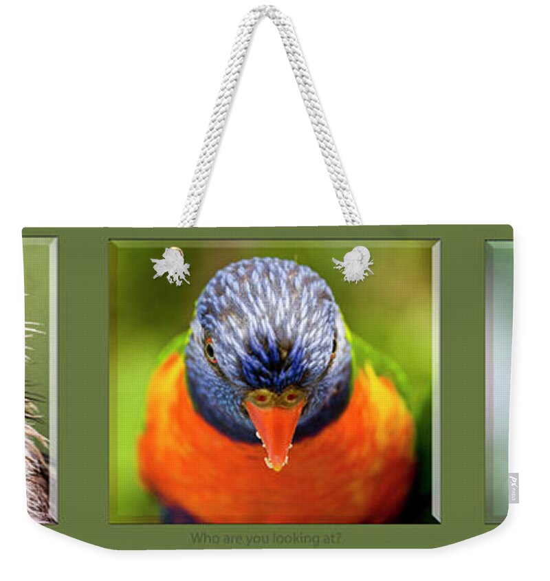 Kookaburra Weekender Tote Bag featuring the photograph Who are you looking at? by Sheila Smart Fine Art Photography