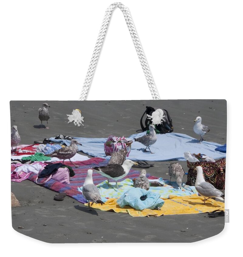 Seagull Weekender Tote Bag featuring the photograph Who brought the beer by Steven Natanson