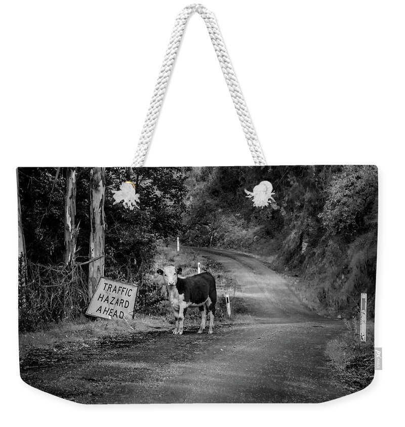 Australia Weekender Tote Bag featuring the photograph Who Me by Az Jackson