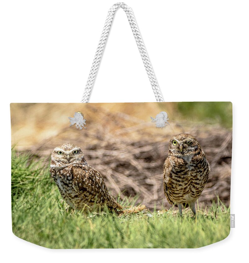 Owl Weekender Tote Bag featuring the photograph Who x2 by Steph Gabler