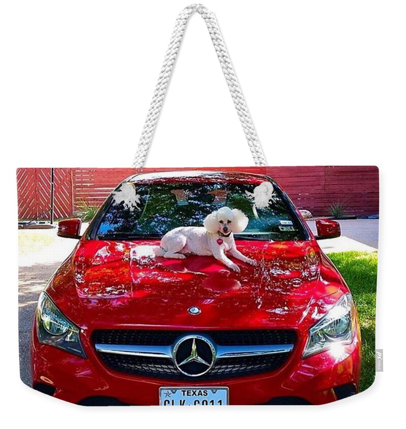 Keepaustinweird Weekender Tote Bag featuring the photograph Whoever Said That Diamonds Are A by Austin Tuxedo Cat