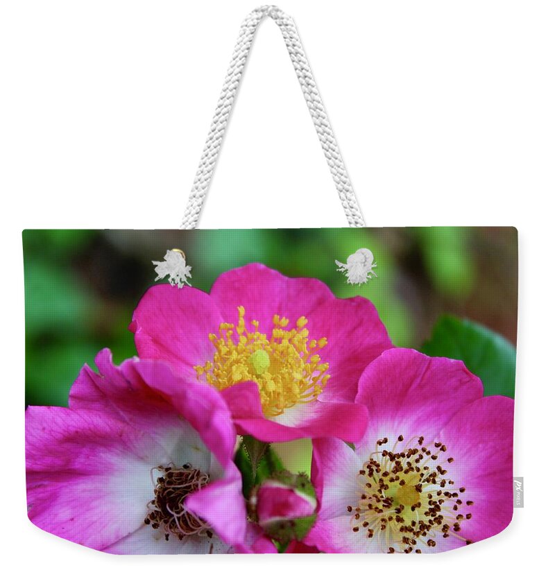 Photograph Weekender Tote Bag featuring the photograph Wilberry Breeze Roses by M E