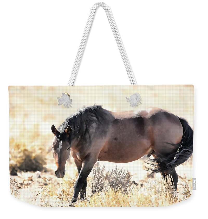 Stallion Weekender Tote Bag featuring the photograph Wild Beauty by Athena Mckinzie