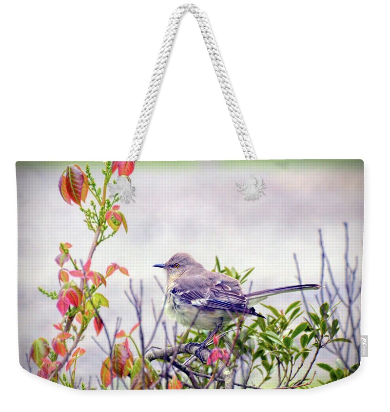 Northern Mockingbird Weekender Tote Bag featuring the photograph Wild Birds - Northern Mockingbird by Kerri Farley