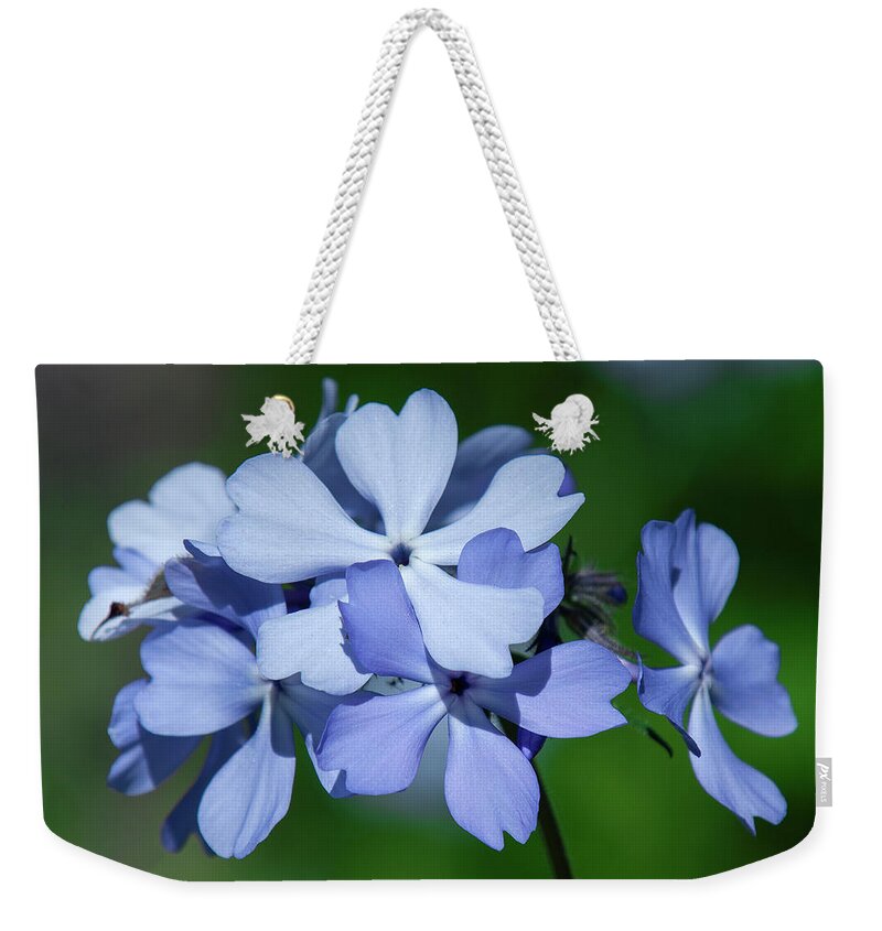 Phlox Family Weekender Tote Bag featuring the photograph Wild Blue Phlox DSPF0387 by Gerry Gantt