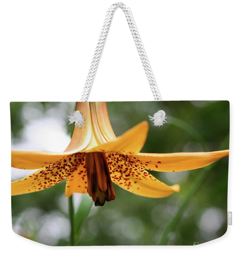 Flower Weekender Tote Bag featuring the photograph Wild Canadian Lily by Smilin Eyes Treasures