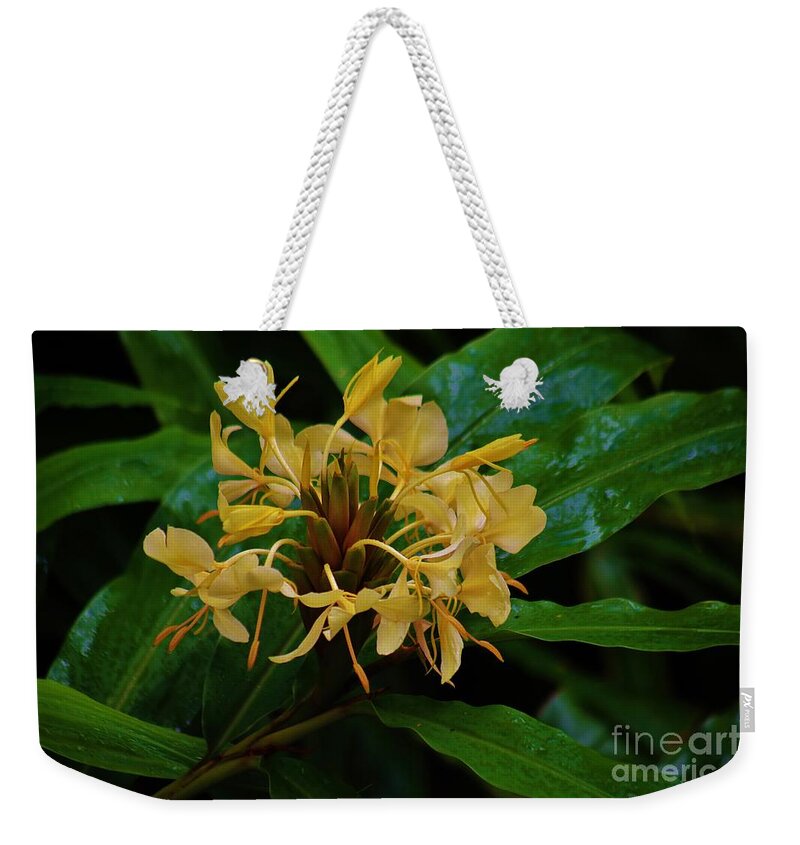 Ginger Weekender Tote Bag featuring the photograph Wild Ginger in the Rain by Craig Wood