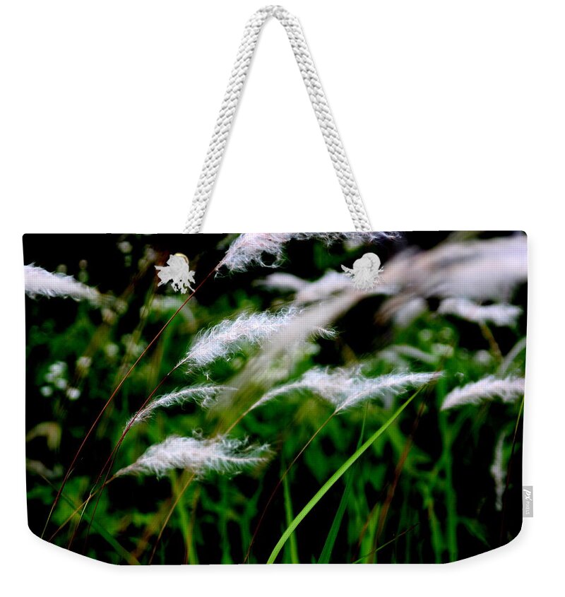 Green Weekender Tote Bag featuring the photograph Wild Grass by Silpa Saseendran