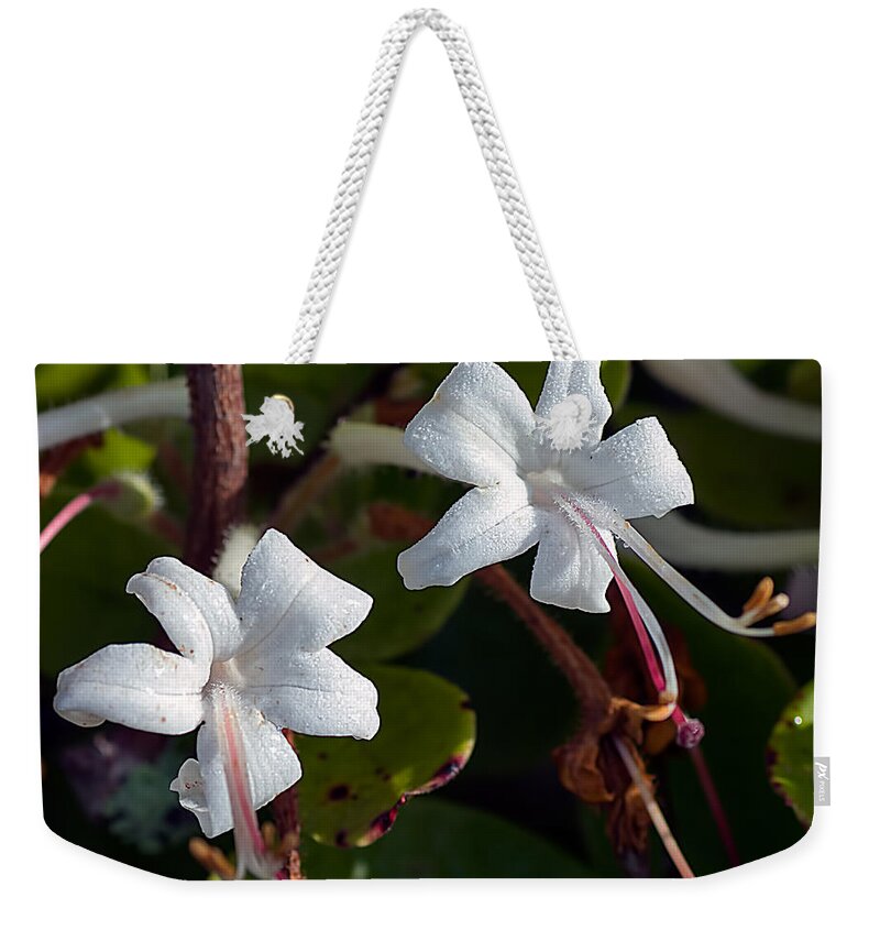 Scenery Weekender Tote Bag featuring the photograph Wild Honeysuckle by Kenneth Albin