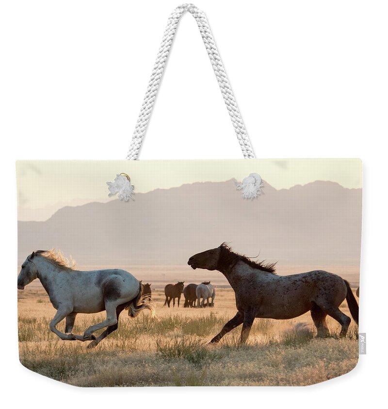 Chase Weekender Tote Bag featuring the photograph Wild Horse Chase by Wesley Aston