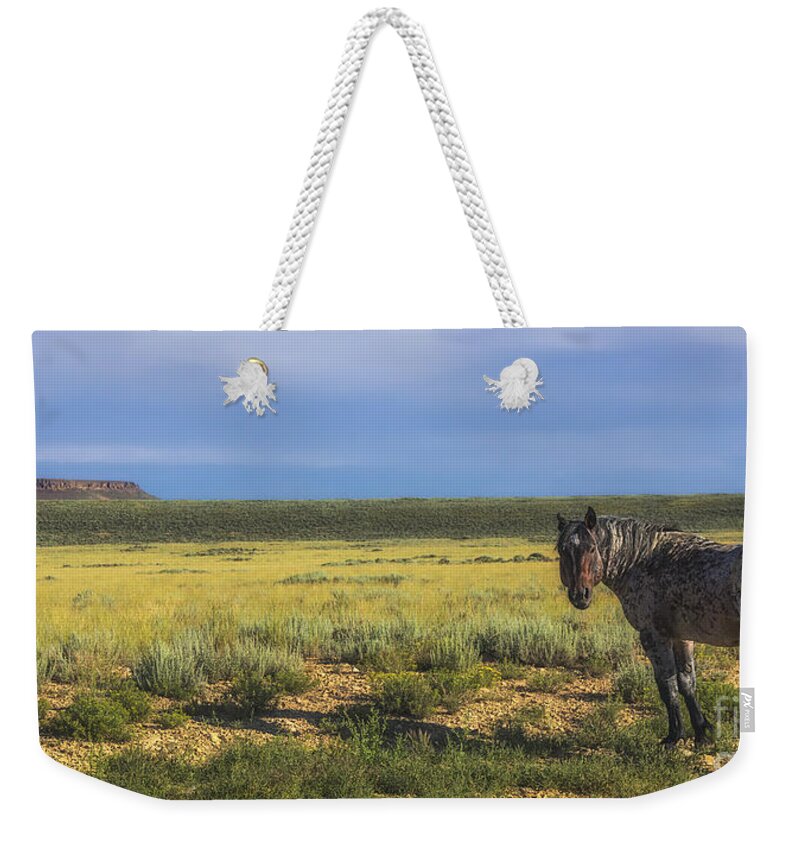 Wild Horse Of Pilot Butte Weekender Tote Bag featuring the photograph Wild Horse of Pilot Butte by Priscilla Burgers