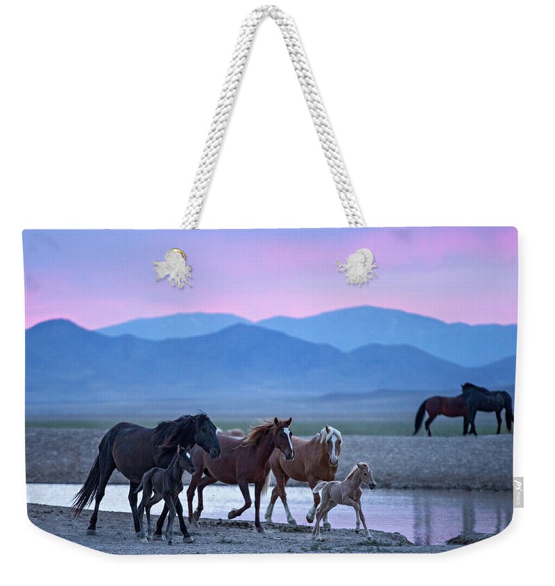 Wild Horse Weekender Tote Bag featuring the photograph Wild Horse Sunrise by Wesley Aston
