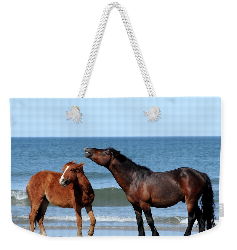 Wild Weekender Tote Bag featuring the photograph Wild Horses on Beach by Ted Keller