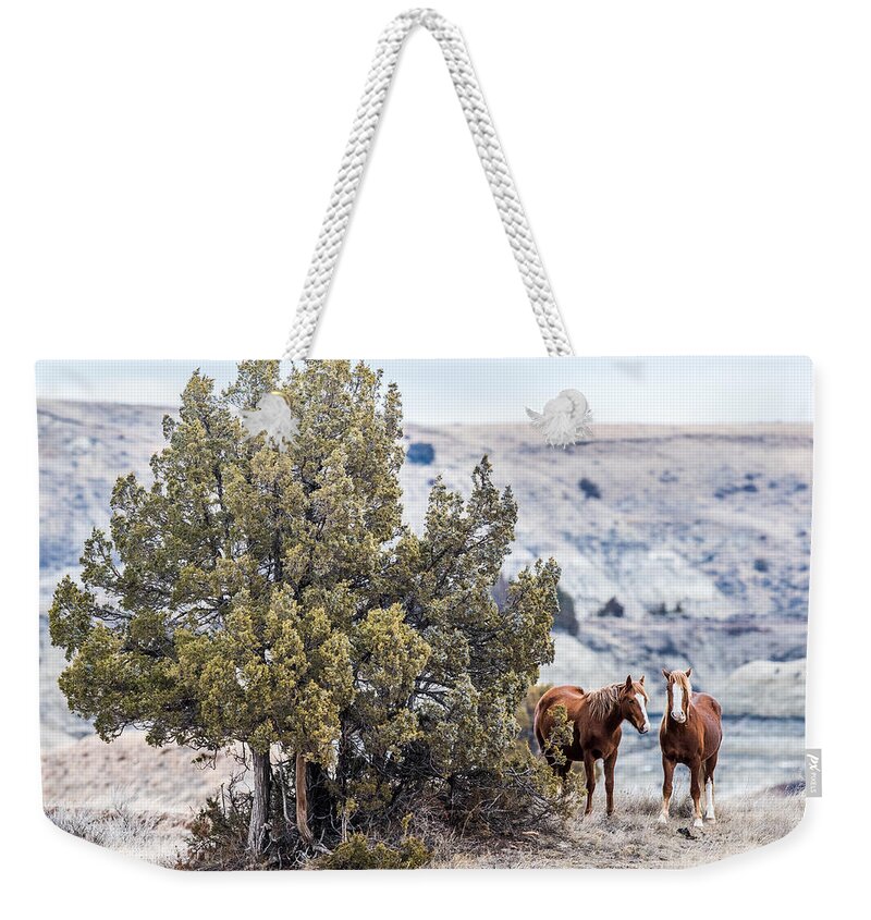 Wild Horses Weekender Tote Bag featuring the photograph Wild Horses by Paul Freidlund