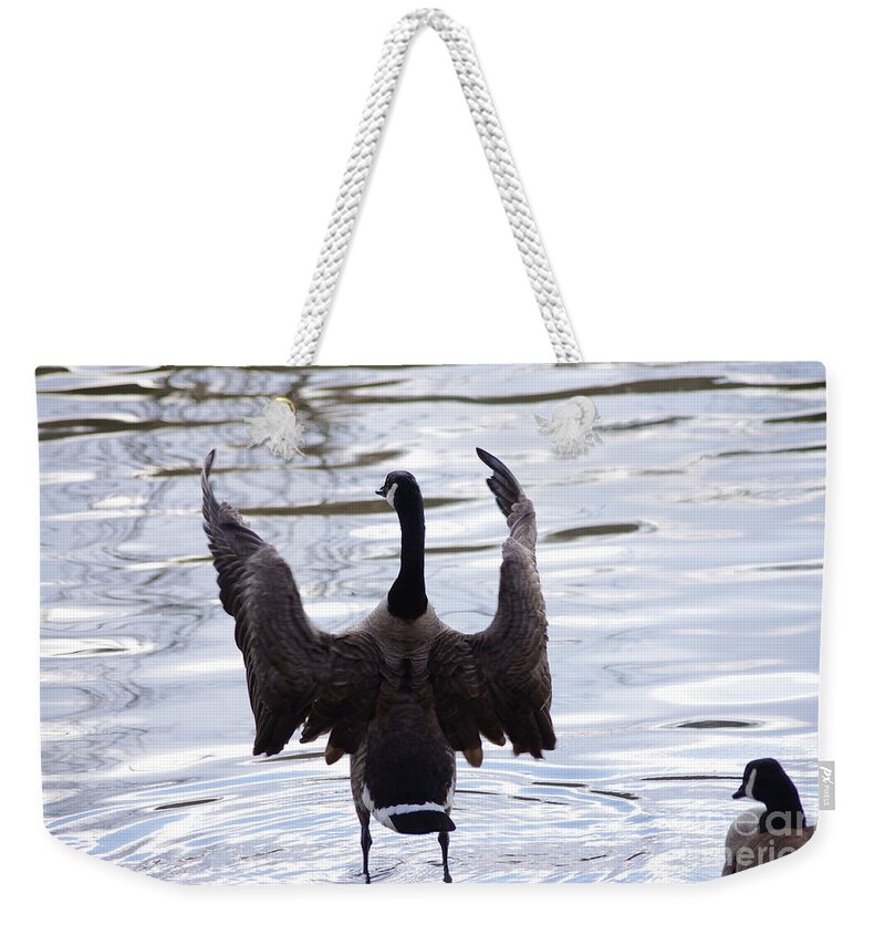 Wildlife Weekender Tote Bag featuring the photograph Lets Go by Gerald Kloss
