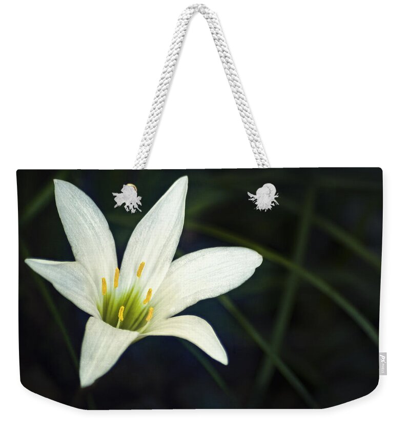 Lily Weekender Tote Bag featuring the photograph Wild Lily by Carolyn Marshall
