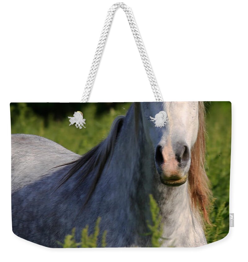 Wild Weekender Tote Bag featuring the photograph Wild by Lynn Sprowl