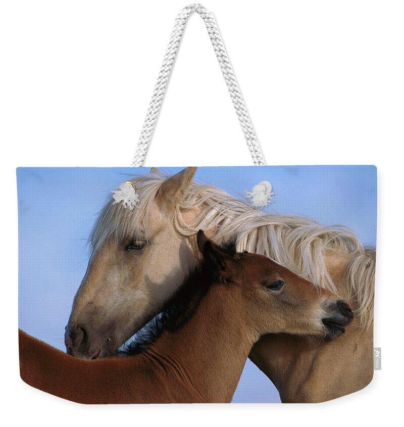 00340033 Weekender Tote Bag featuring the photograph Wild Mustang Filly and Foal by Yva Momatiuk and John Eastcott