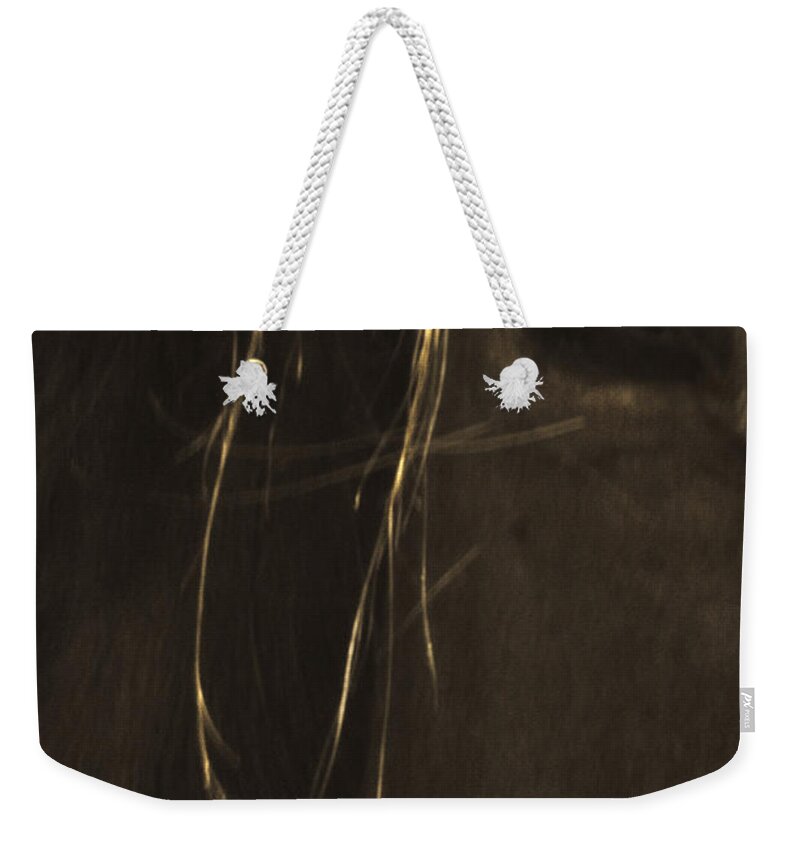 Andalusia Weekender Tote Bag featuring the photograph Wild Mustangs of New Mexico 43 by Catherine Sobredo