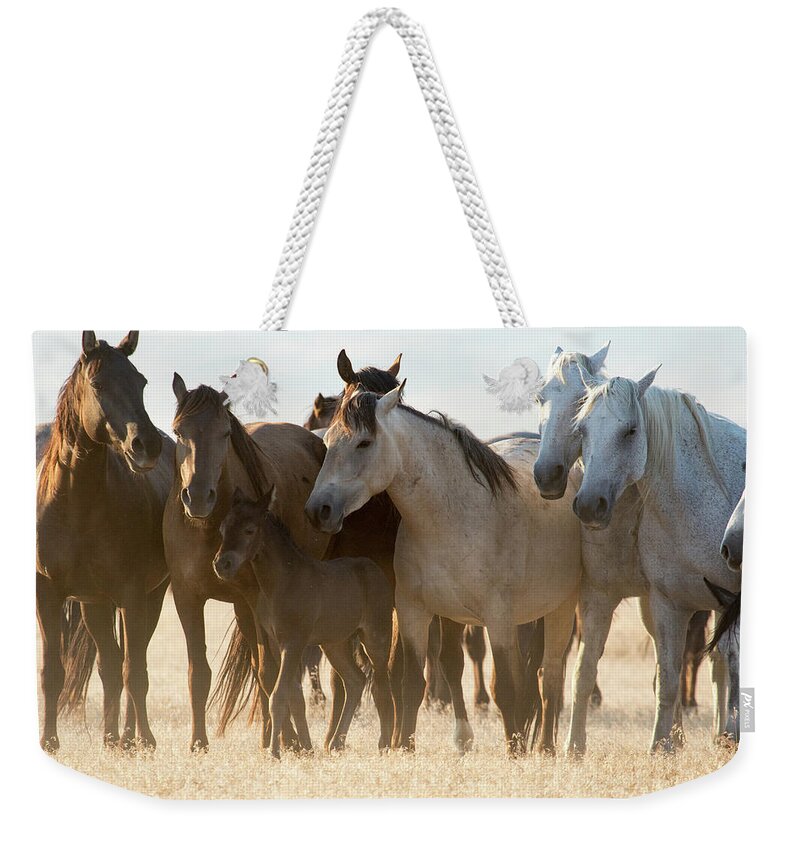 Wild Horses Weekender Tote Bag featuring the photograph Wild Mustangs by Wesley Aston