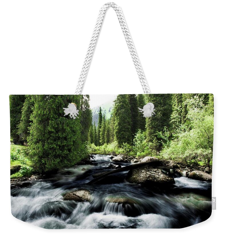 Forest Weekender Tote Bag featuring the photograph Wild river in Tian Shan by Robert Grac