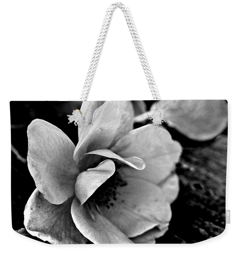 Ansel Adams Weekender Tote Bag featuring the photograph Wild Rose and Salvaged Barn Wood by Curtis J Neeley Jr