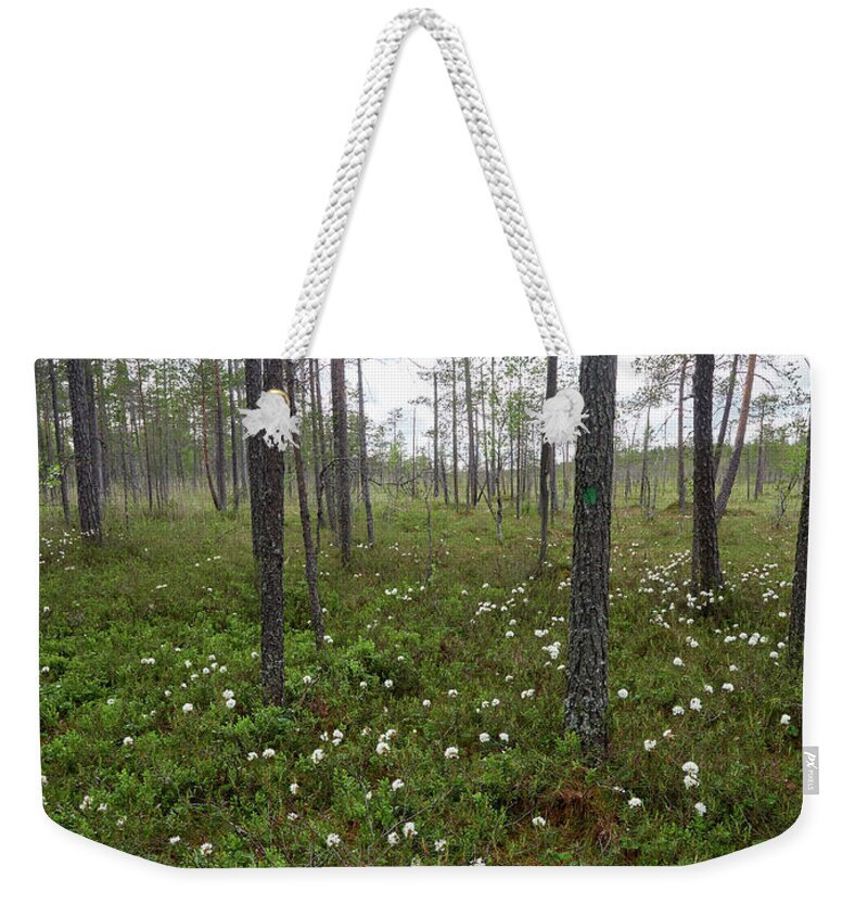 Finland Weekender Tote Bag featuring the photograph Wild Rosemary morass by Jouko Lehto