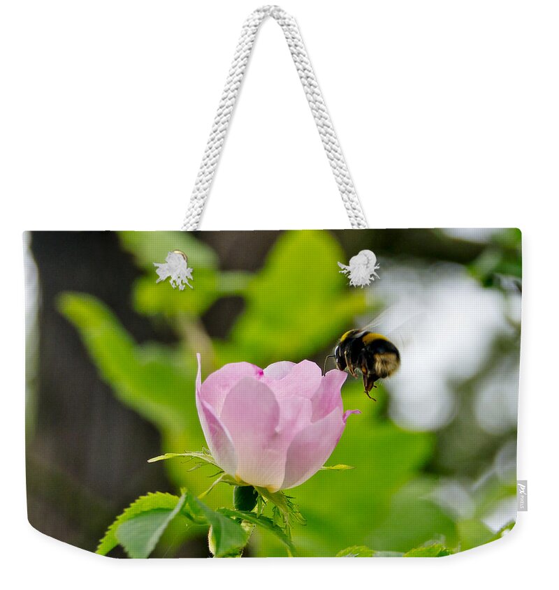 Wild Roses Weekender Tote Bag featuring the photograph Wild Roses. Allegro Moderato. by Elena Perelman