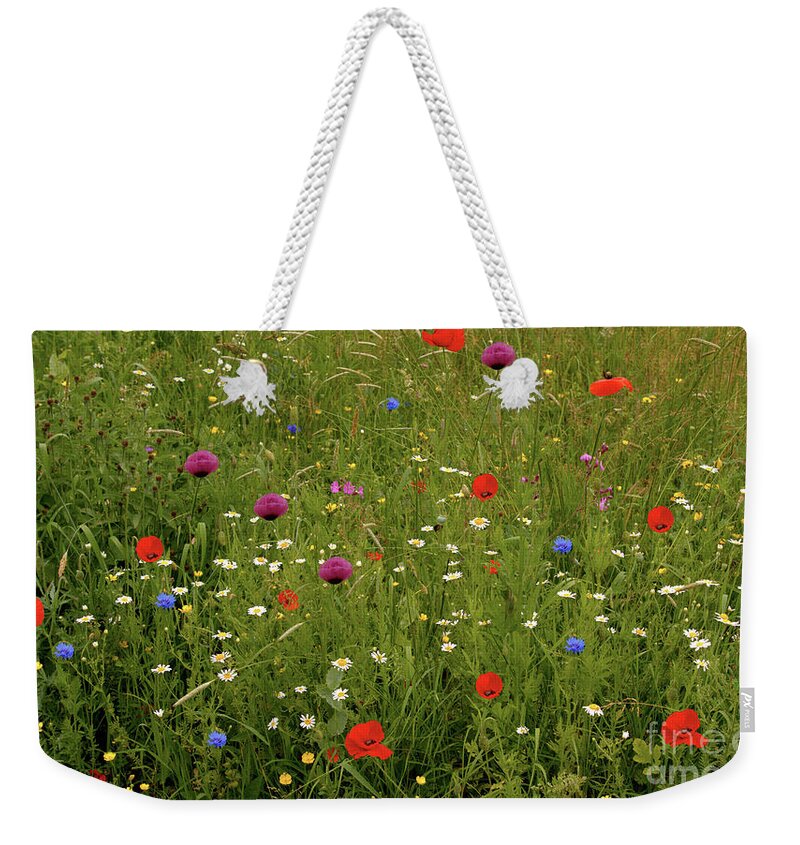 Summer Weekender Tote Bag featuring the photograph Wild Summer Meadow by Baggieoldboy