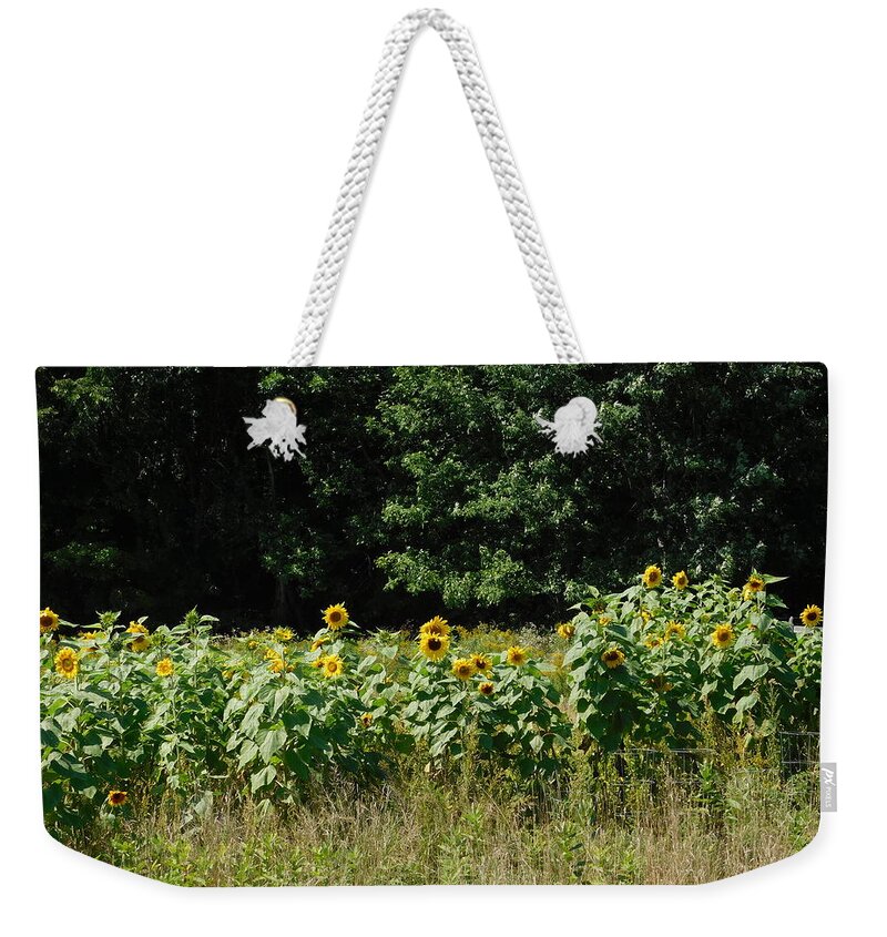 Northfield Weekender Tote Bag featuring the photograph Wild Sunflowers by Catherine Gagne