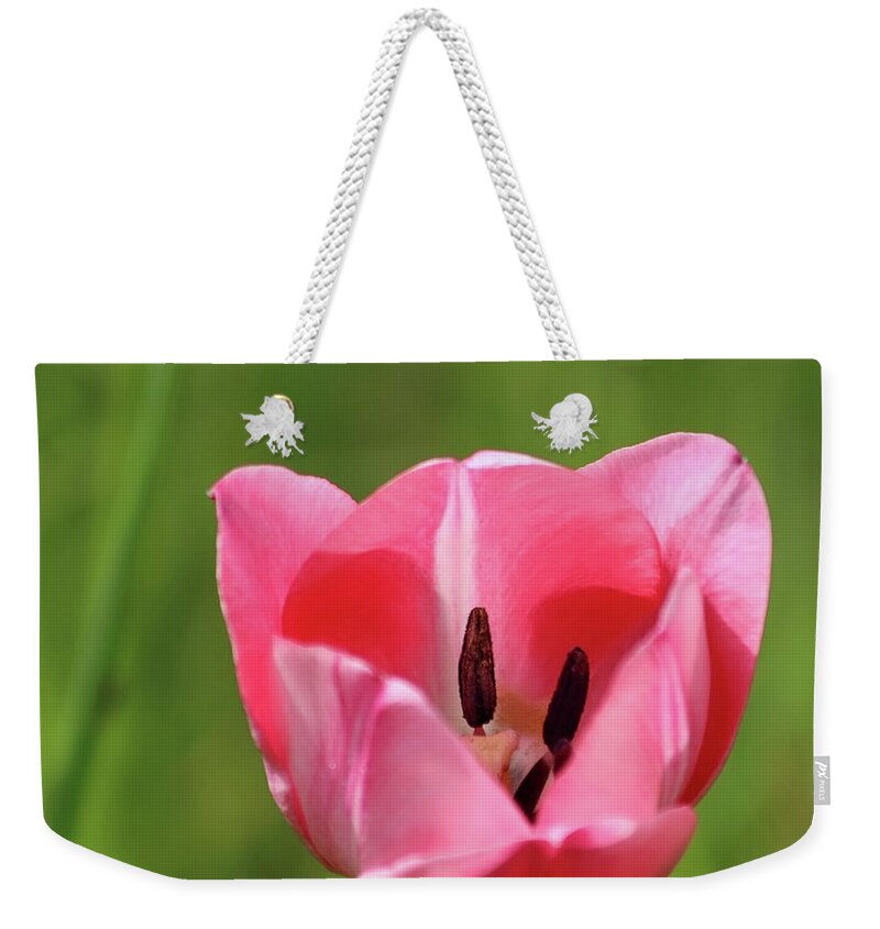 Didesigns Weekender Tote Bag featuring the photograph Wild Thing by DiDesigns Graphics