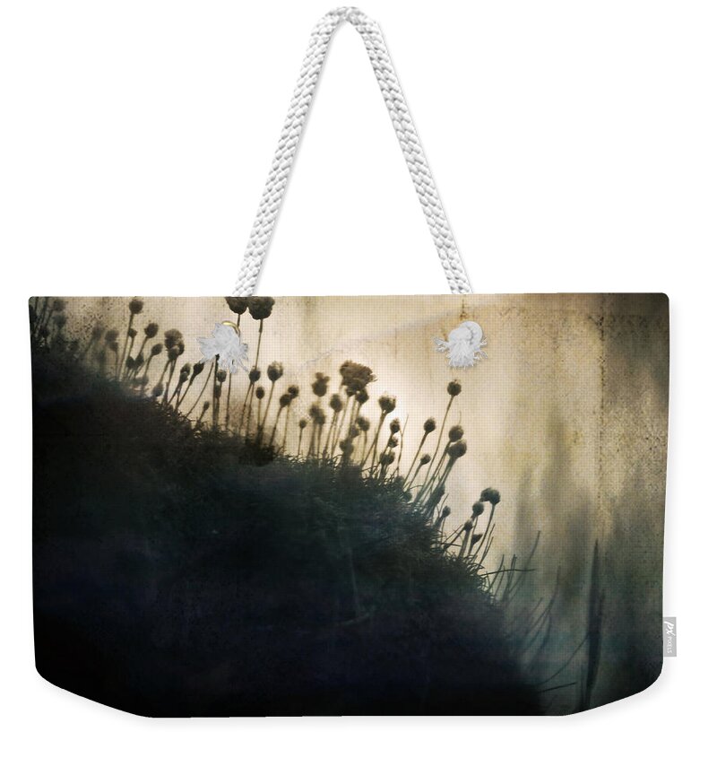 Grass Weekender Tote Bag featuring the photograph Wild Things - Number 1 by Dorit Fuhg