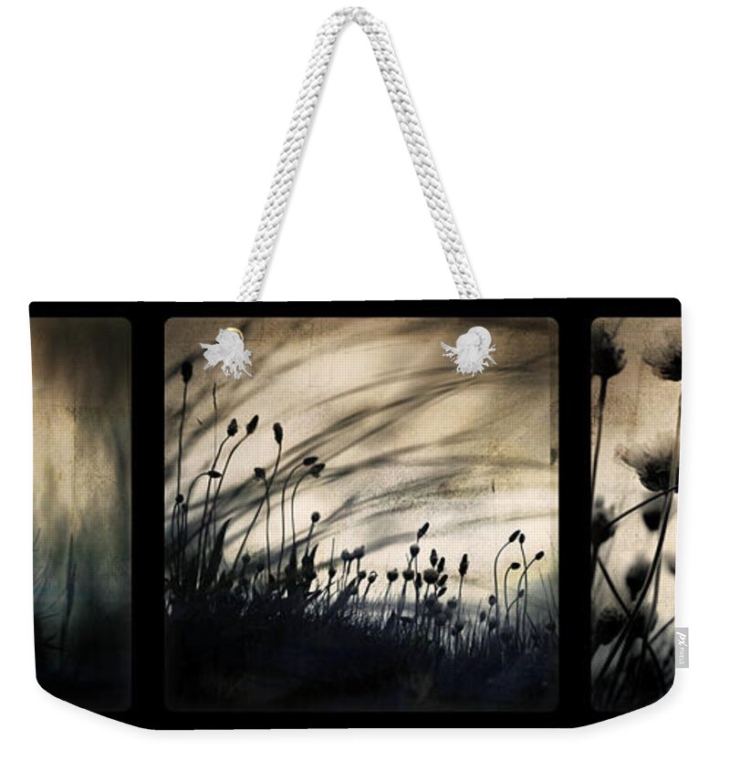 Grass Mood Triptych Wild Art Fineart Dorit Nature Weekender Tote Bag featuring the photograph Wild Things by Dorit Fuhg