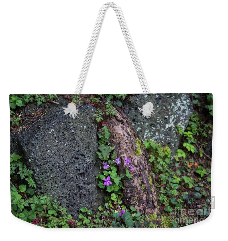 Wildflowers Weekender Tote Bag featuring the photograph Wild Violets by Patricia Babbitt
