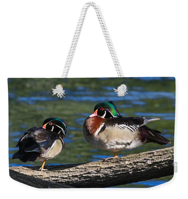 Wood Duck Weekender Tote Bag featuring the photograph Wild Wood Ducks on a Log by Kathleen Bishop