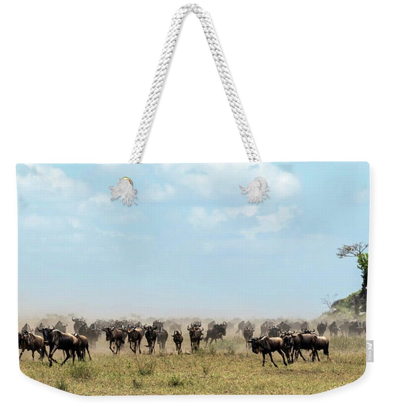 Arusha Weekender Tote Bag featuring the photograph Wildebeest in Serengueti during the Great Migration - Panorama by RicardMN Photography